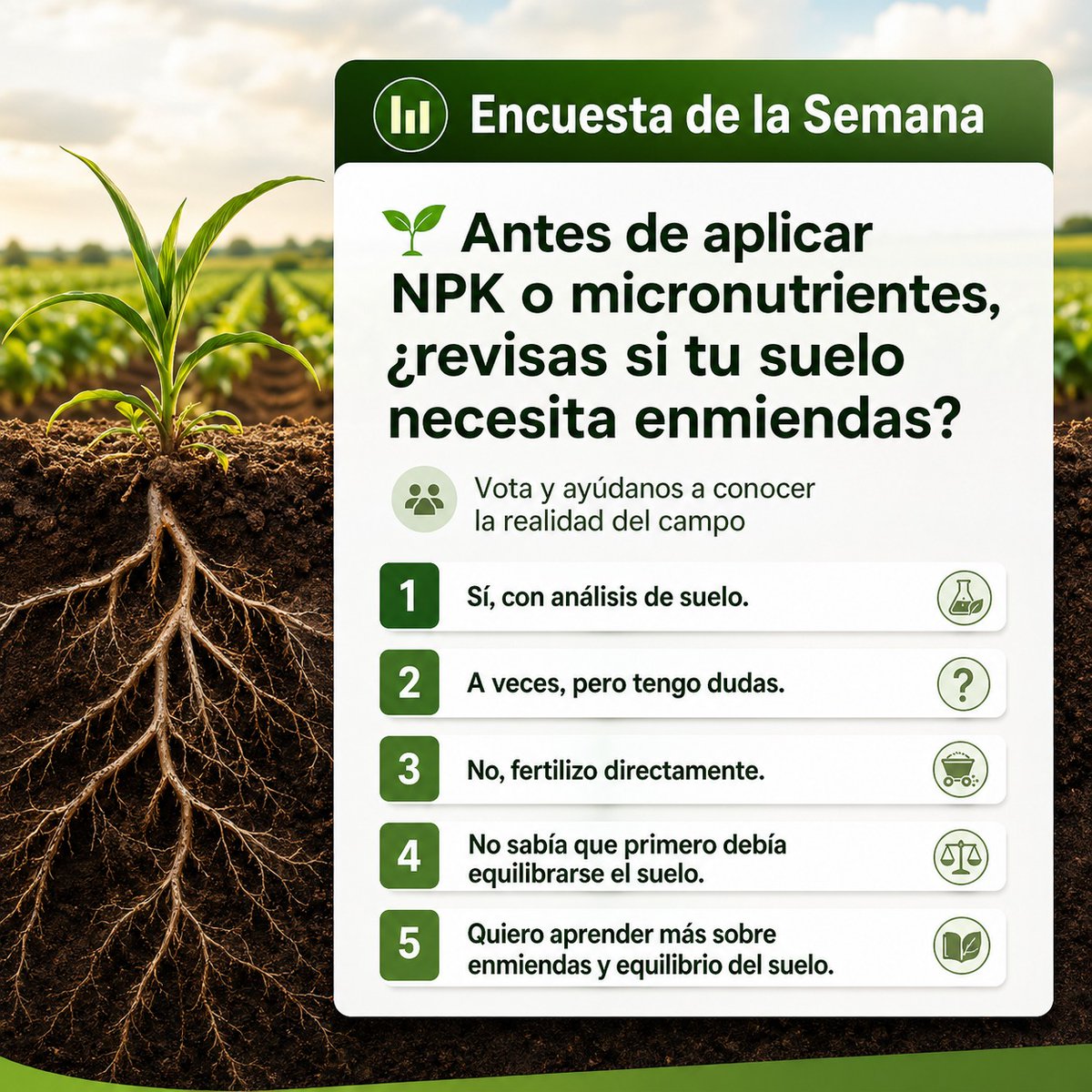 Alianza Agropecuaria Ecuatoriana tweet media