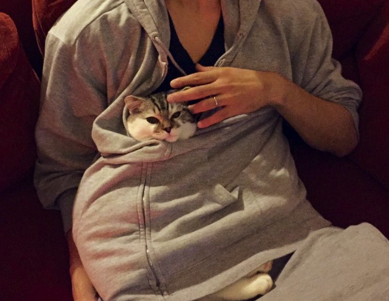 アレちゃん𓂃𓈒𓏸🧸💓 tweet media