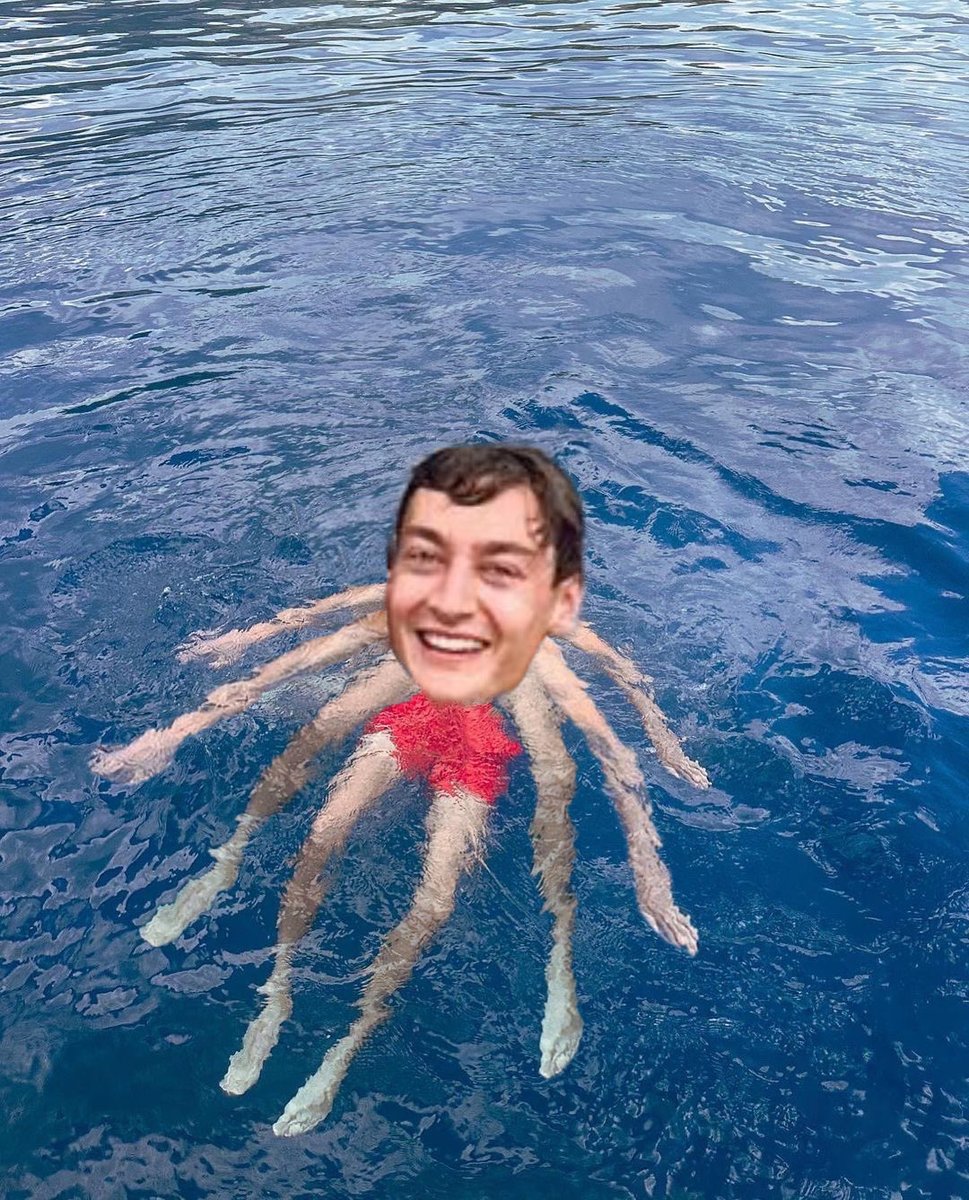 𖠋 alma tweet media