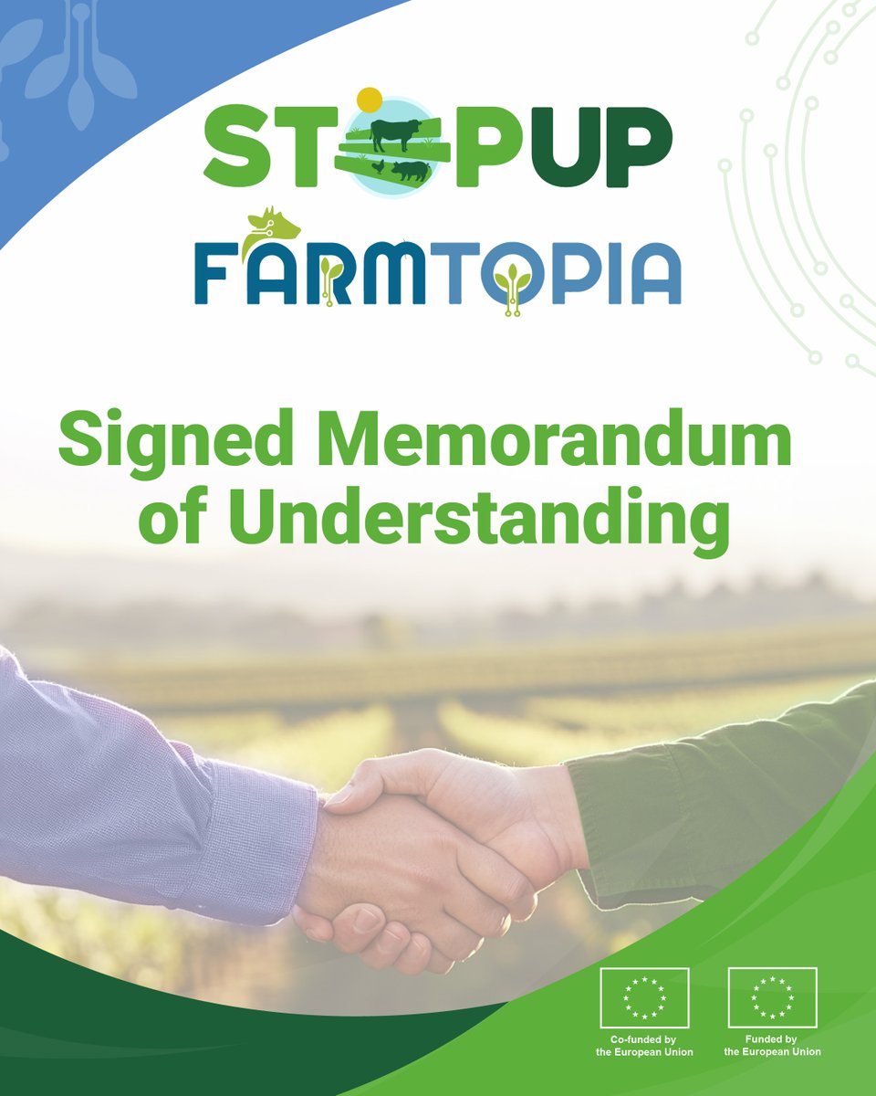 Horizon_StepUp tweet media