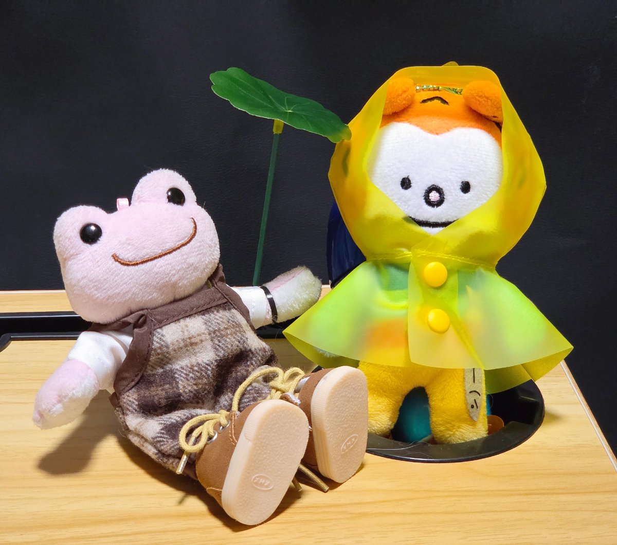 alwayspickles_'s tweet photo. ほやくんは雨合羽をてにいれた！
葉っぱの傘つき🌿 https://t.co/lNAxP3teSY