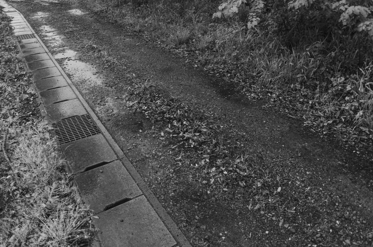 akabeko63's tweet image. #2465
#monochrome #モノクローム