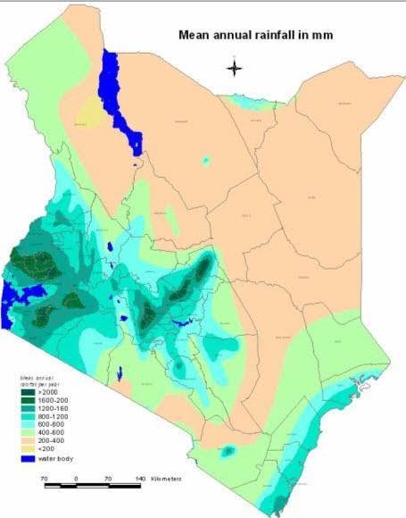 Janin Van Niekerk tweet media