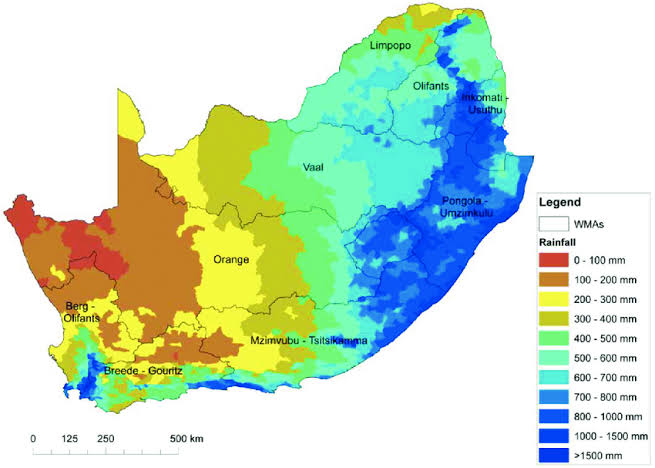 Janin Van Niekerk tweet media