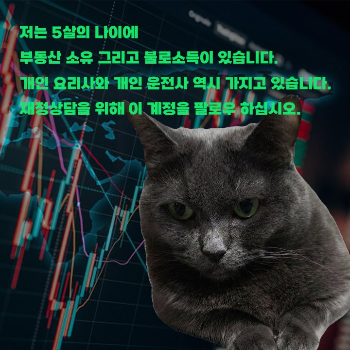 다루쥐🐀 tweet media