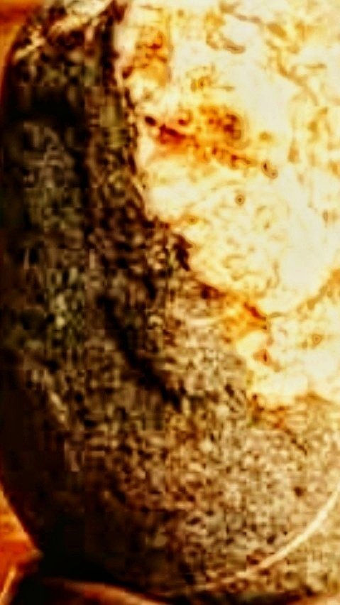 Spirit Realm tweet media