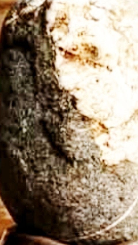 Spirit Realm tweet media