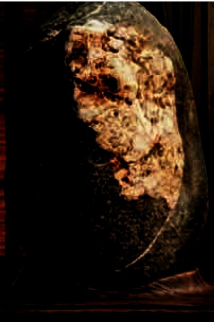 Spirit Realm tweet media