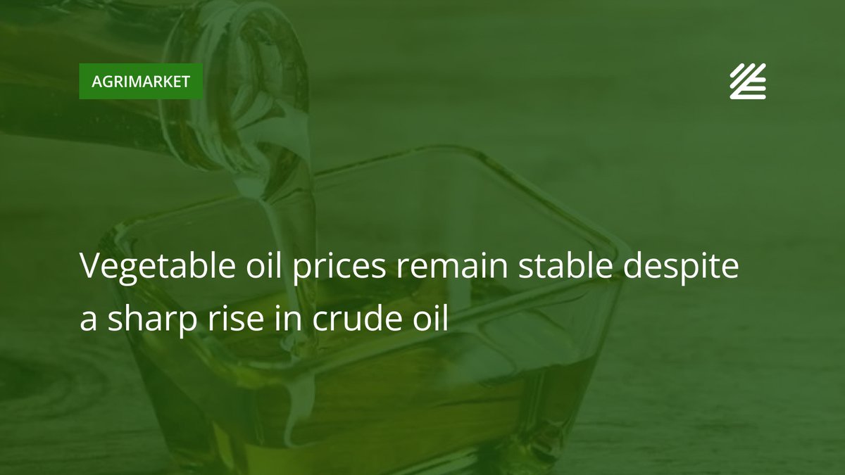 UkrAgroConsult's tweet image. 🌻 #Vegetable_oil #prices remain stable despite a sharp rise in crude oil

 At the same time, lower processing margins and infrastructure damage are limiting the activity of Ukrainian crushers.

Read more 👉ukragroconsult.com/?p=314762