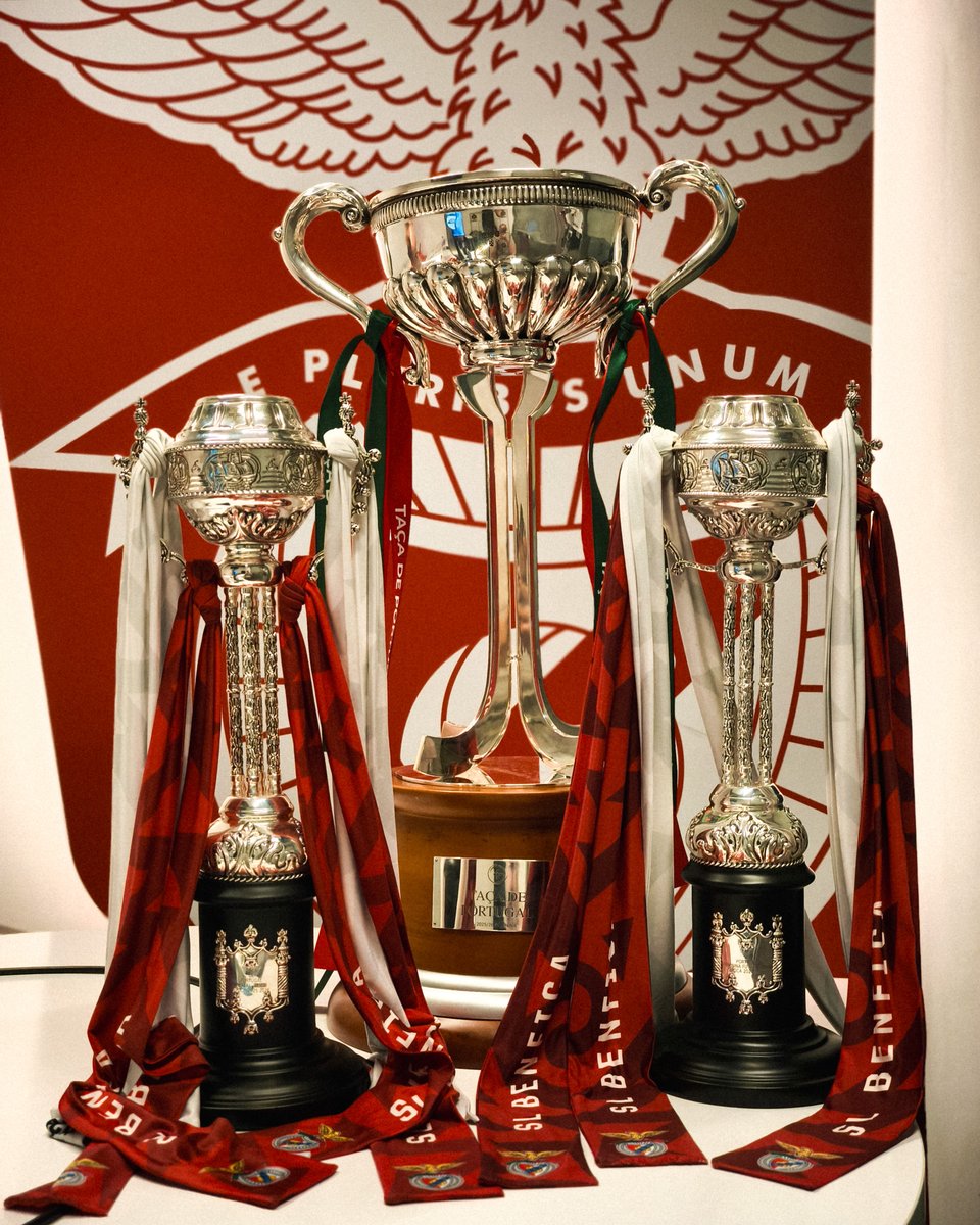 3 Finais, 3 Taças! 🏆

#HóqueiBenficaFem | #FutsalBenfica | #FutsalBenficaFem