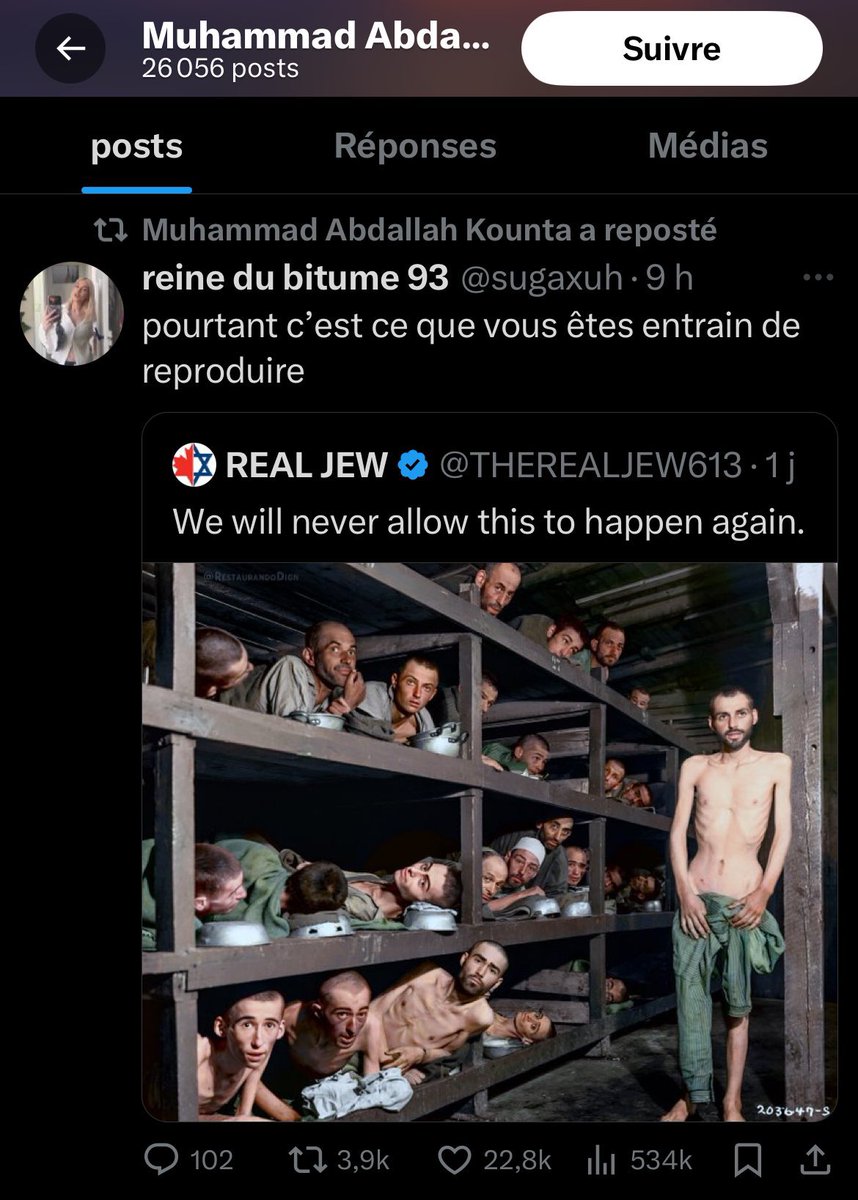 Shannon Seban tweet media