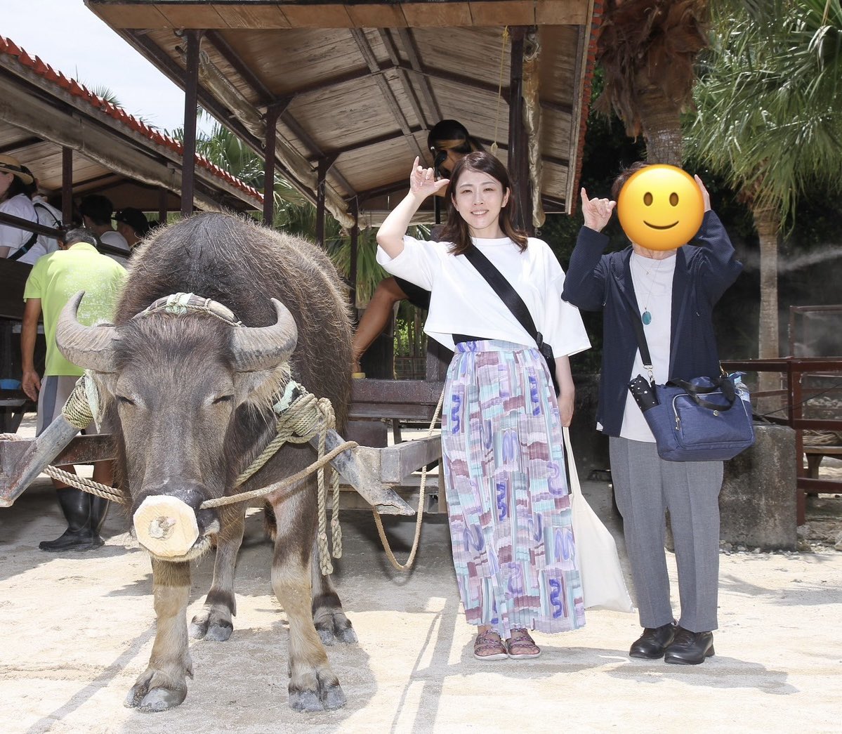 福圓美里 tweet media