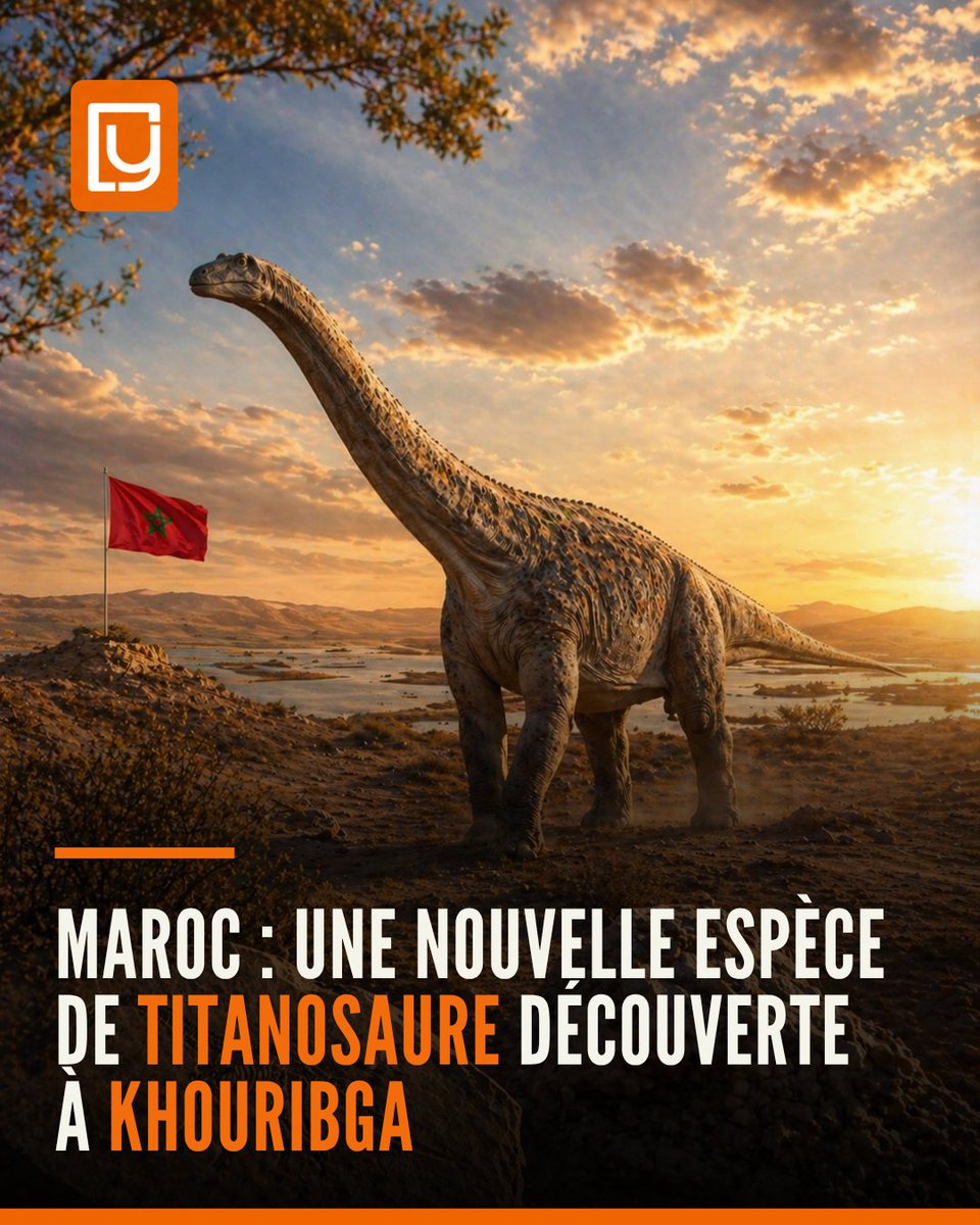 Yabiladi.com tweet media