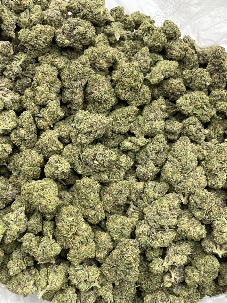 PureLeaf Exotics | Grow Vids | Terp Talk tweet media