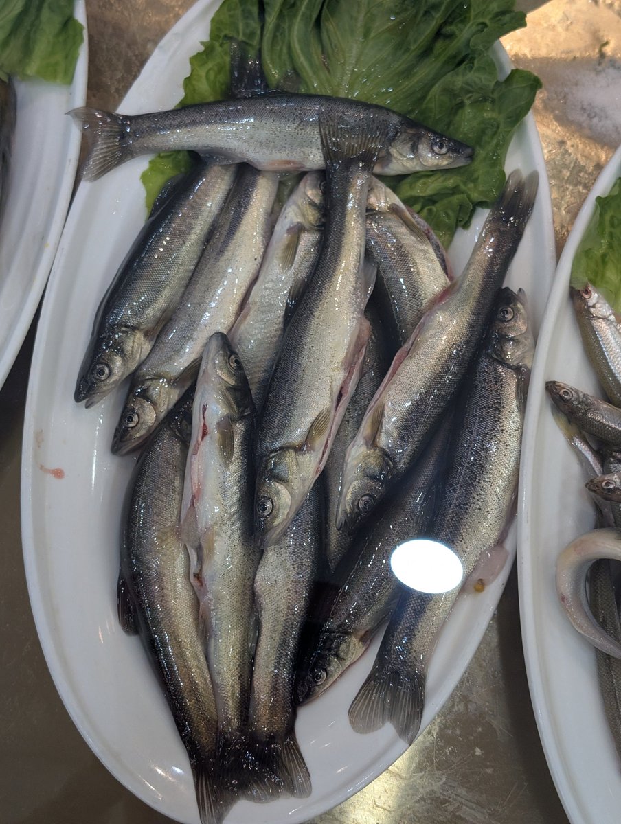 Рыба на вкус очень похожа на нашу пеструшку.