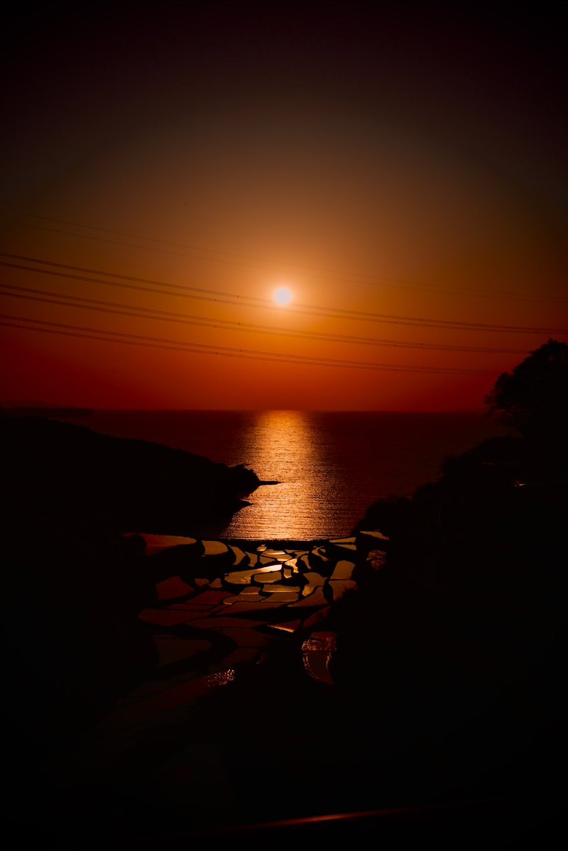 レオ🦁@まるる💊佐賀県民 tweet media