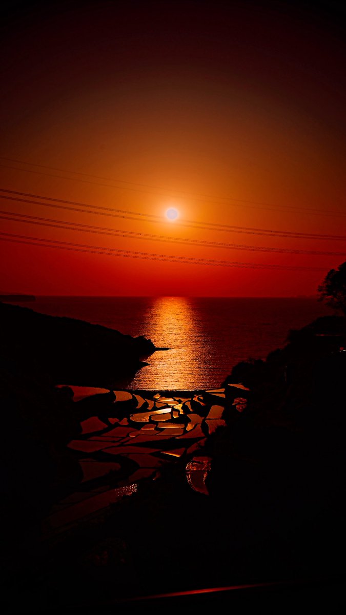 レオ🦁@まるる💊佐賀県民 tweet media