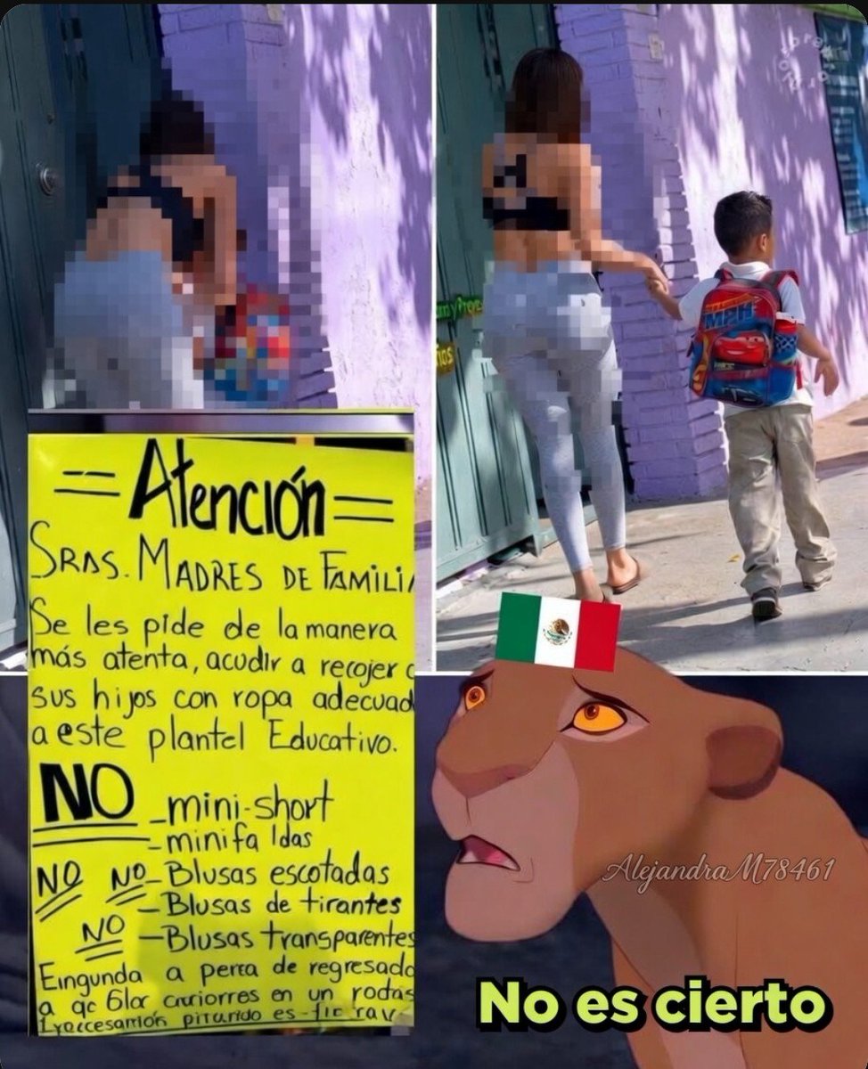 Alejandra tweet media