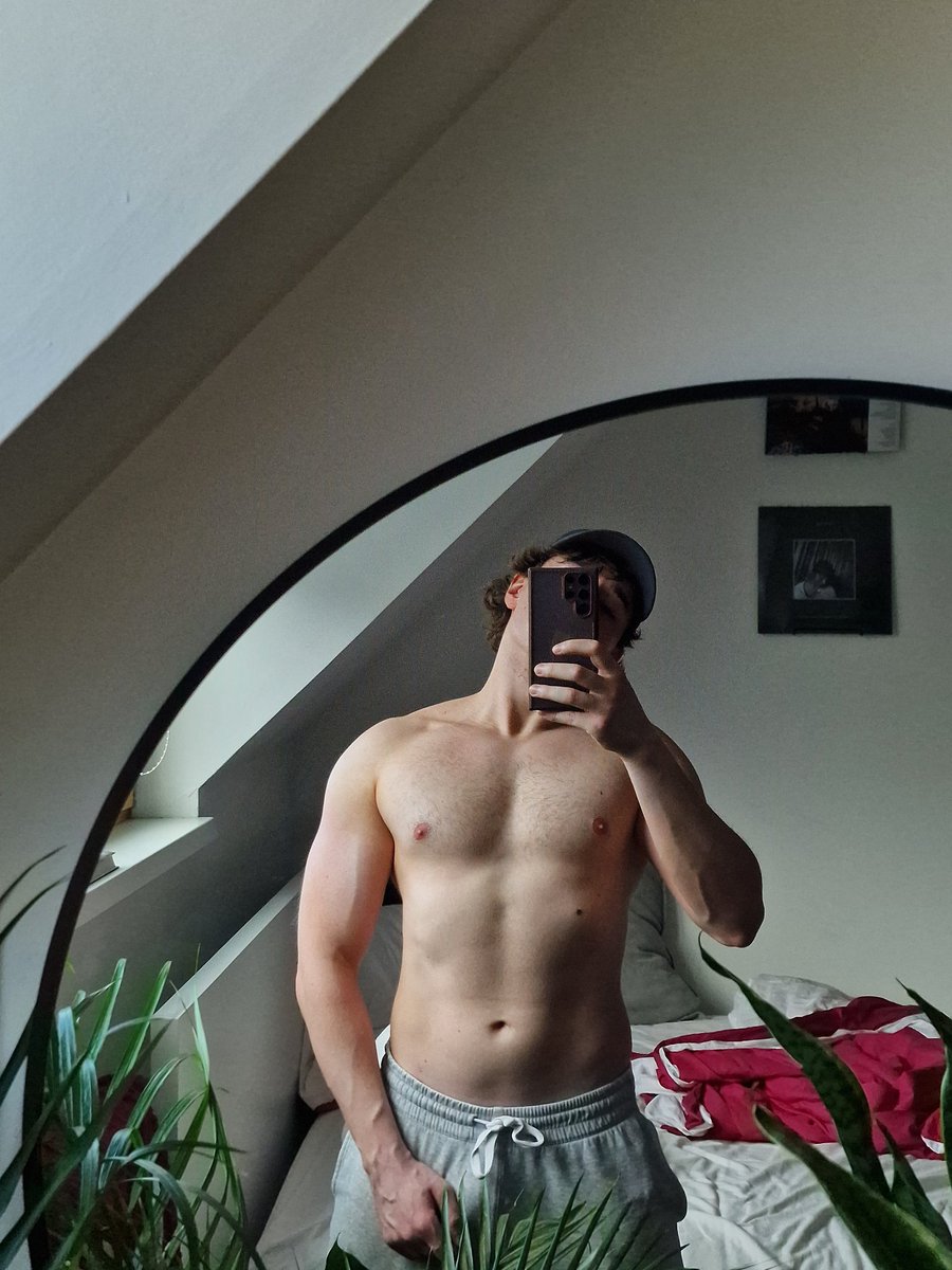 Procrastinaut tweet media