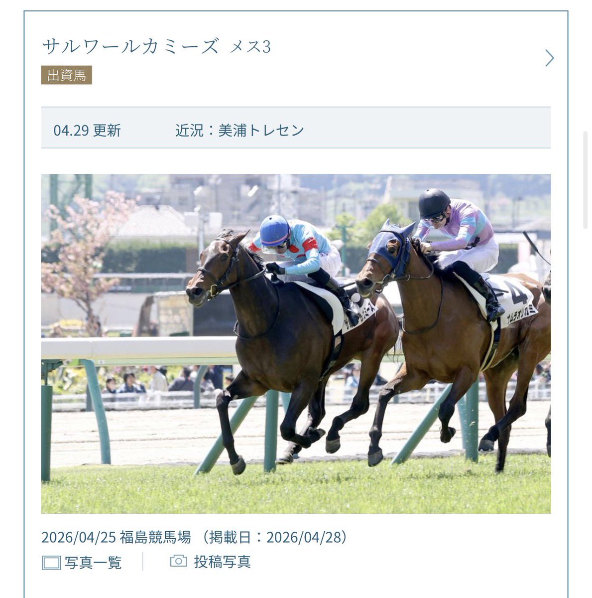良き良き🐴
次走も楽しみ