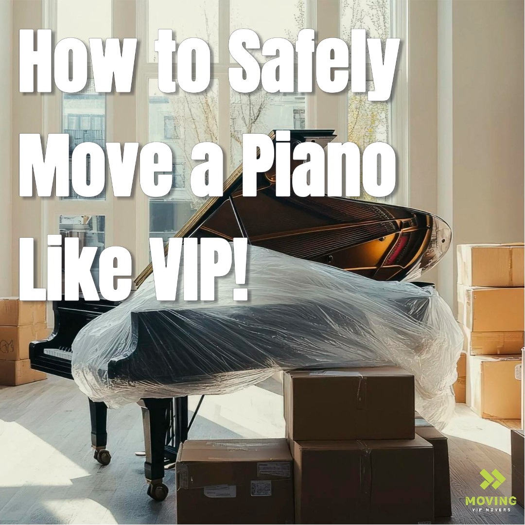 MoVip Movers tweet media
