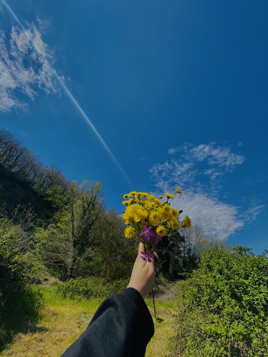lalihibec's tweet photo. huzur’a aşık, gönlünde bahar taşıyan biri☀️☘️🌿🌷🍀🌼🌸🐥 https://t.co/M5COJTUmpt