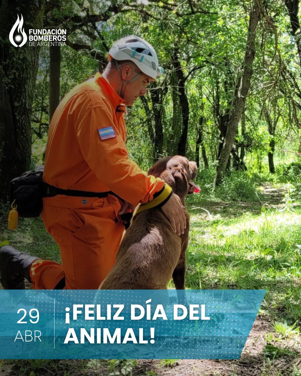 Fundación Bomberos de Argentina tweet media