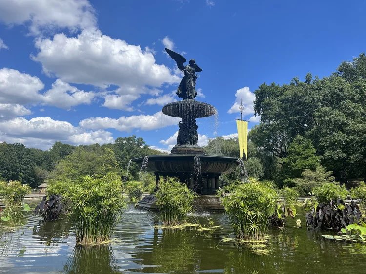 ruhlnyc's tweet image. Good Morning -
Wednesday, 29 April 2026

Image: Bethesda Fountain, Central Park

#GoodMorning #CentralPark #NewYorkCity #RUHLNYC

ruhl.nyc