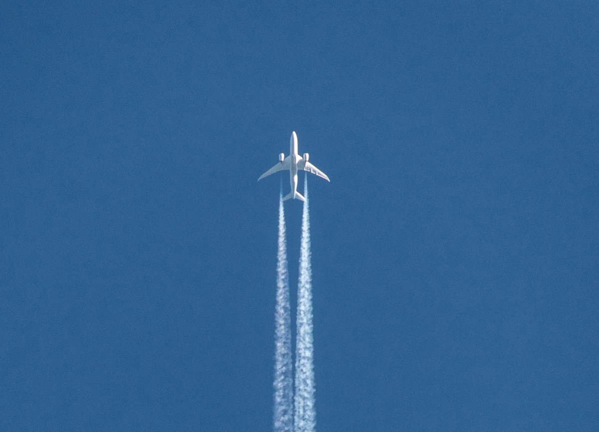 Marko Wathen tweet media