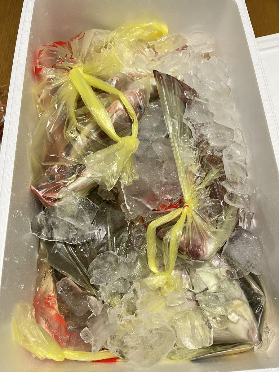 いもむし（すごい）Sakeimo tweet media