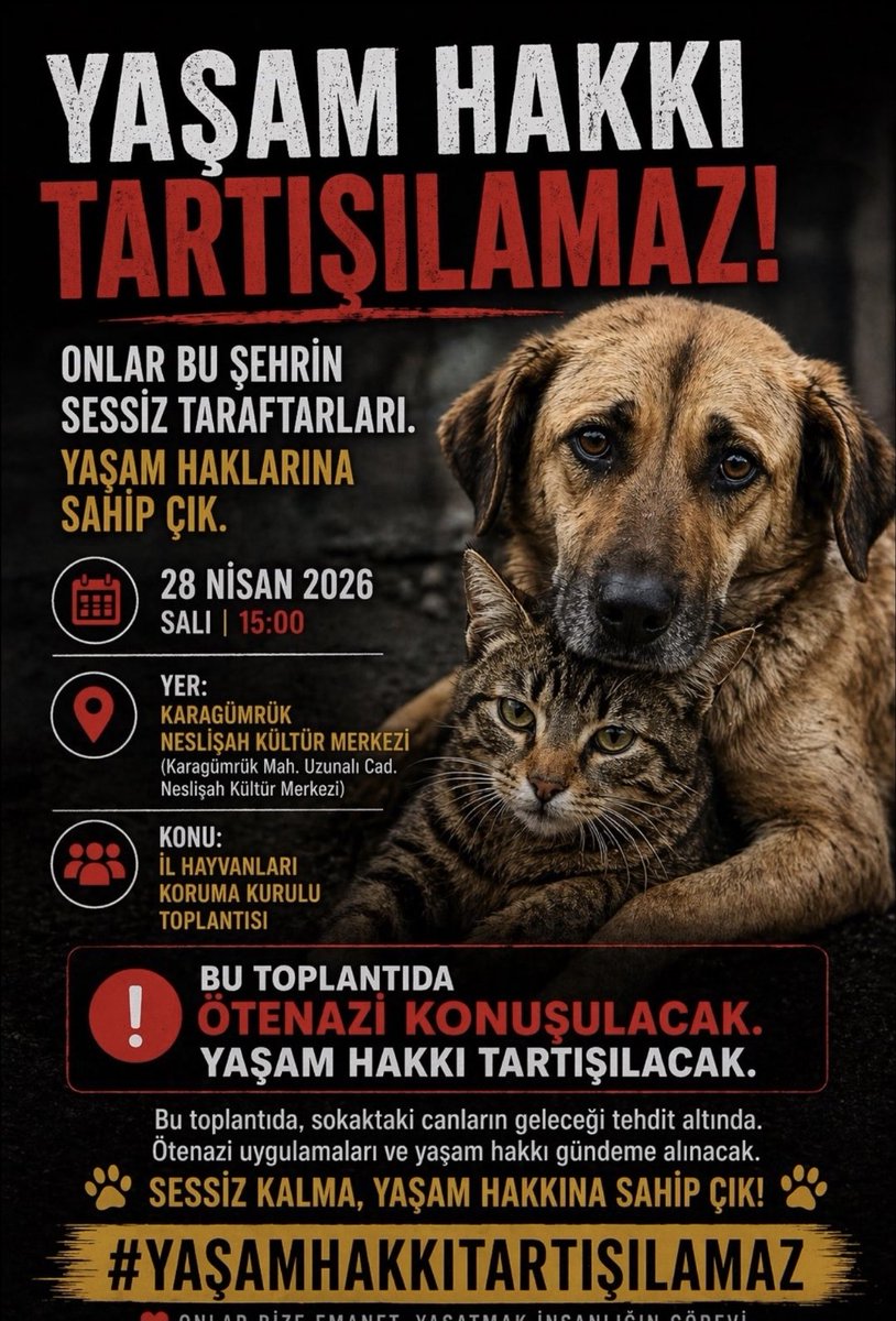 📣Istanbul' da Toplu Katliama Hayir Diyoruz

Bu dilekçeyi göndererek ve dilekçe kampanyasını paylaşarak bana destek olur musun?🙏 

jointvoice.com/campaign/860/
#YaşamHakkıTartışılamaz