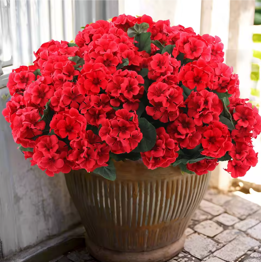 BrentwoodInteri's tweet image. Artificial geraniums Flowers For Gardens, Patios, Balconies Or As Wedding Decor

brentwood-interiors.com/products/artif…

#geraniums #artificialflowers #silkflowers #flowers #flowerplanters #bouquets #homedecor #diningtabledecor #balcony #patio #garden #decoration #brentwoodinteriors