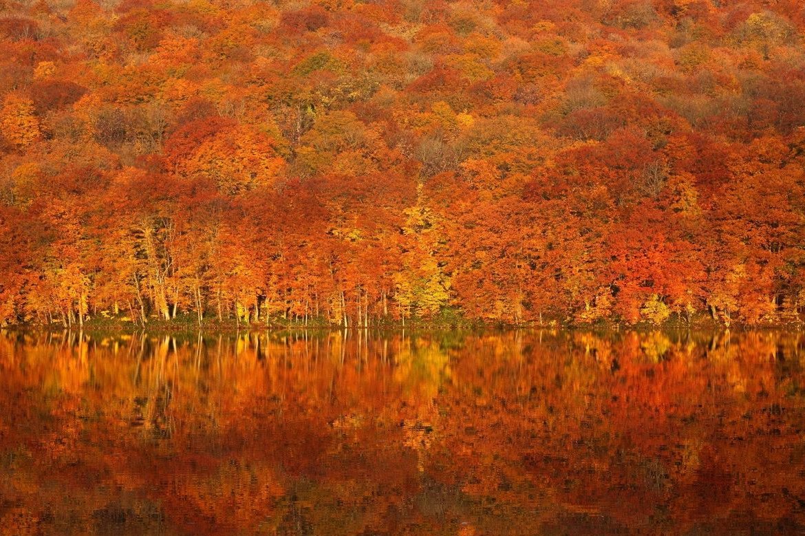 世界の絶景 tweet media