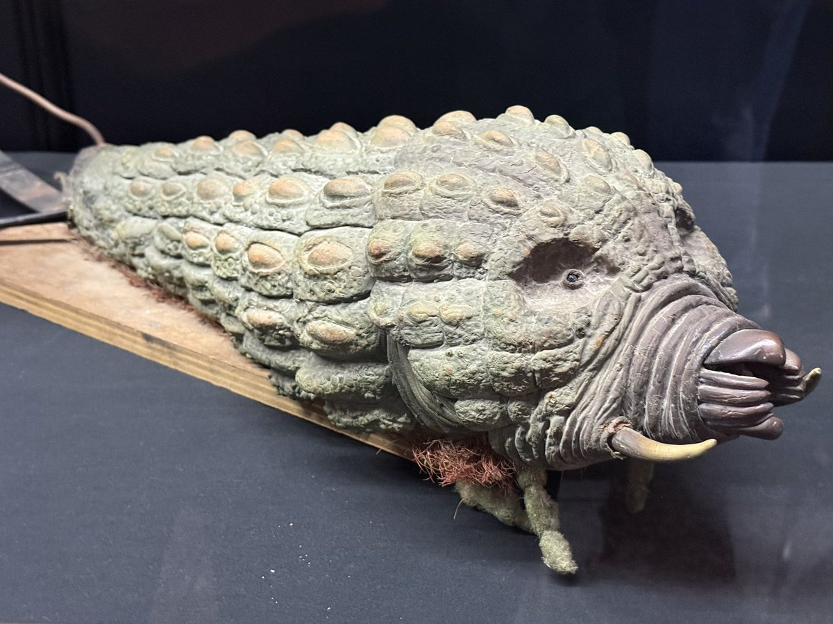 IStudyGodzilla's tweet photo. ゴジラ博in新潟！！
やっぱりモスラ最高！！！
この羽の模様見るだけでもテンションあがっちゃう。
子供がモスラの幼虫を気持ち悪がっててニッコリしちゃった☺️ https://t.co/jiqfTChk2q