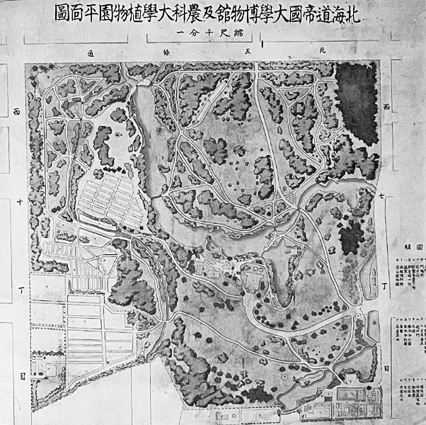 北海道大学教職員組合 事務部班 tweet media