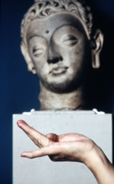SOAS Special Collections tweet media