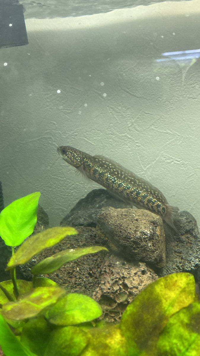 本日終日満席になりました。
ありがとうございます。