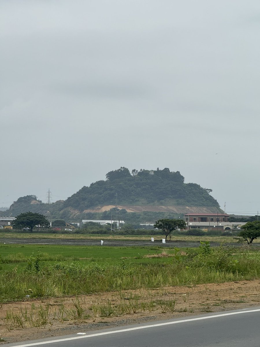AvonbuchwaldS's tweet photo. Se volaron todo el cerro de al frente y ahora van por el mas grande, notas que todos los cerros de Guayaquil, Daule y Samborondon estan desapareciendo progresivamente? el daño ambiental es descomunal, sin que autoridad alguna intervenga. https://t.co/eS7uAgPpOa