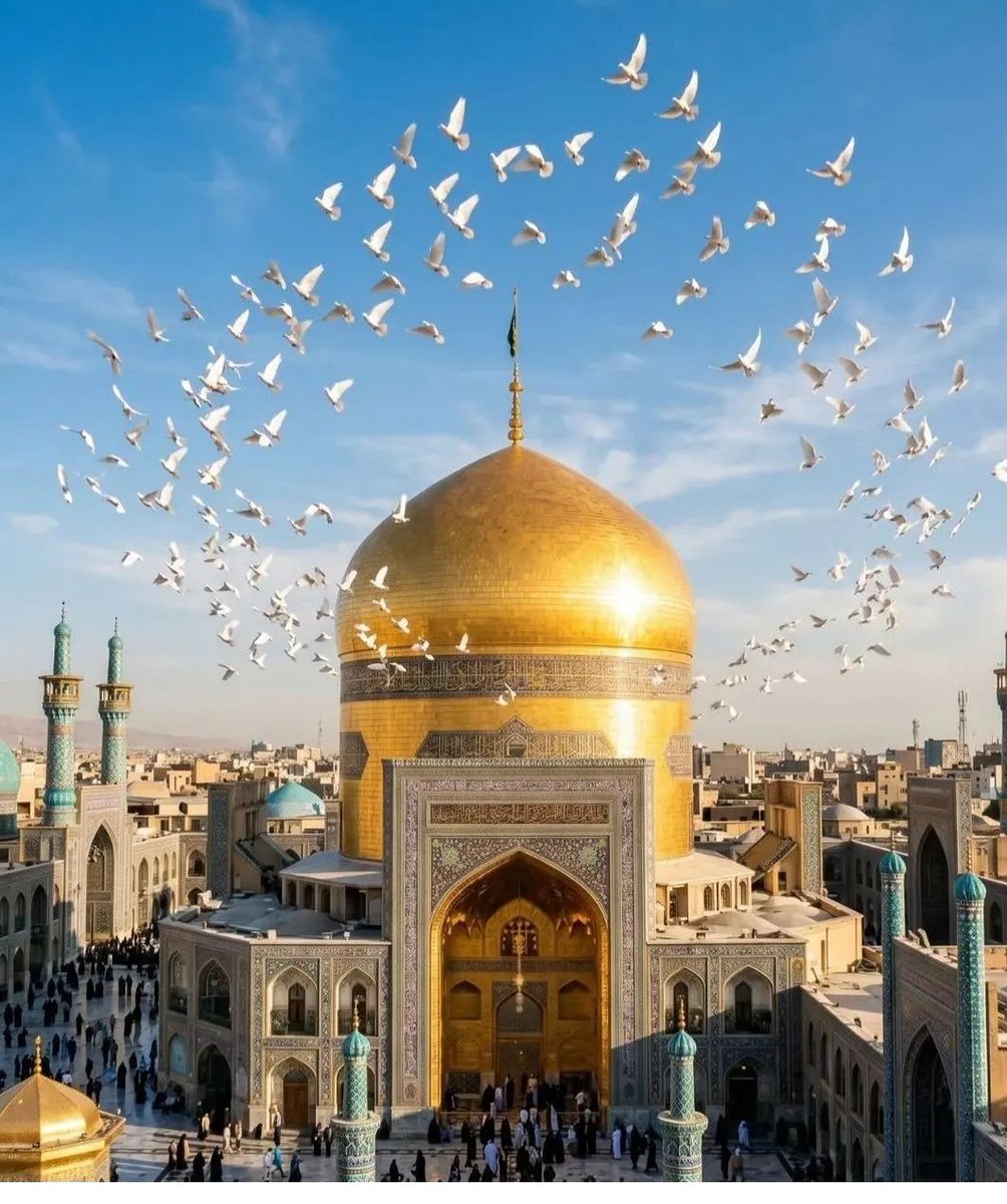 Zahraa.mn tweet media