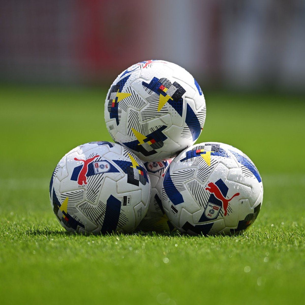 Walsall FC Academy tweet media