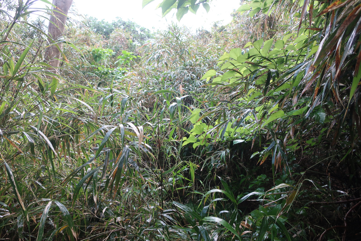 R774@まとめ屋 tweet media