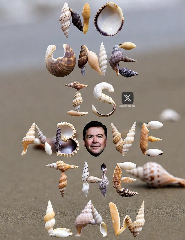 Jessies_Too's tweet image. NO ONE IS ABOVE THE LAW, even former FBI 
 Directors  who are so arrogant they believe them-
 selves  untouchable.   #Treason  #FISA  #Clinton