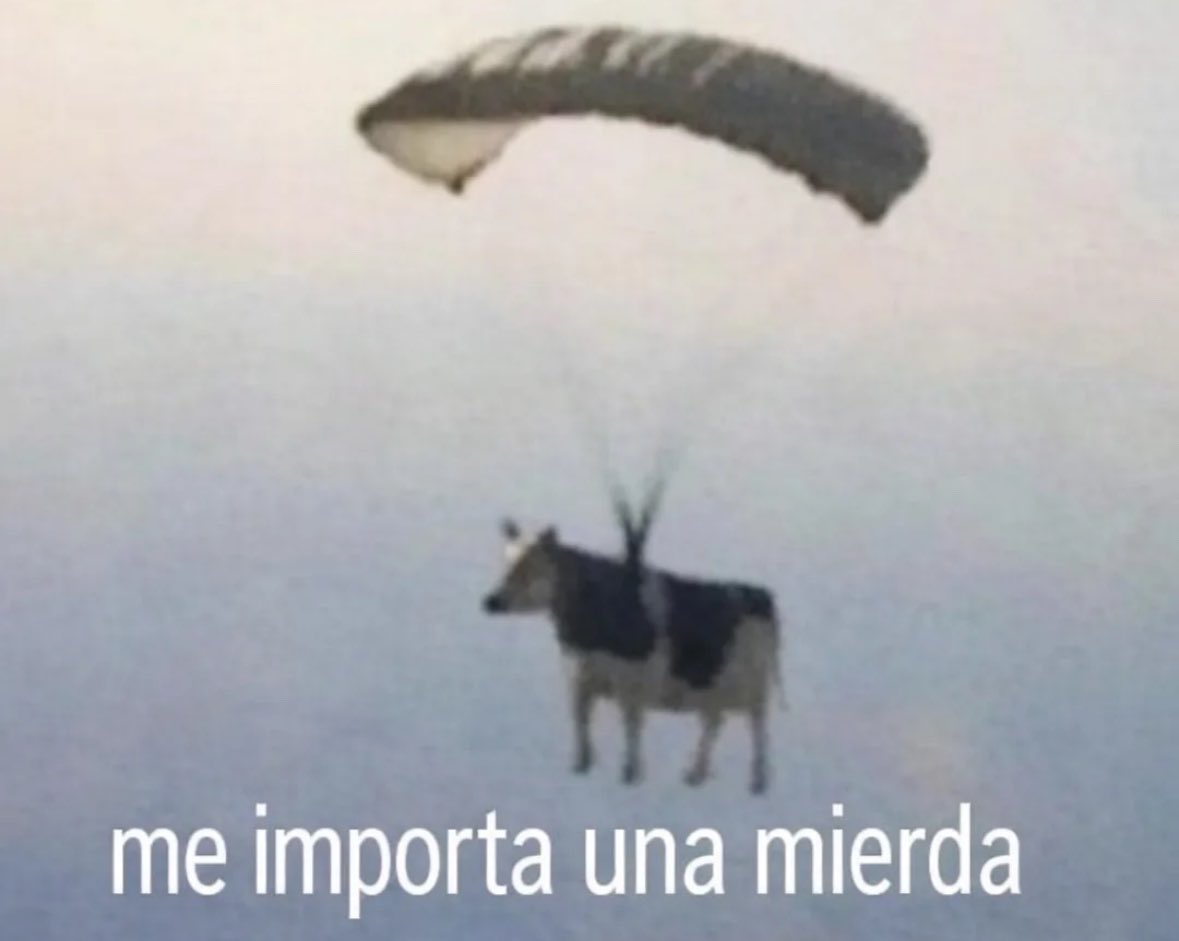 Elena 🌼 tweet media