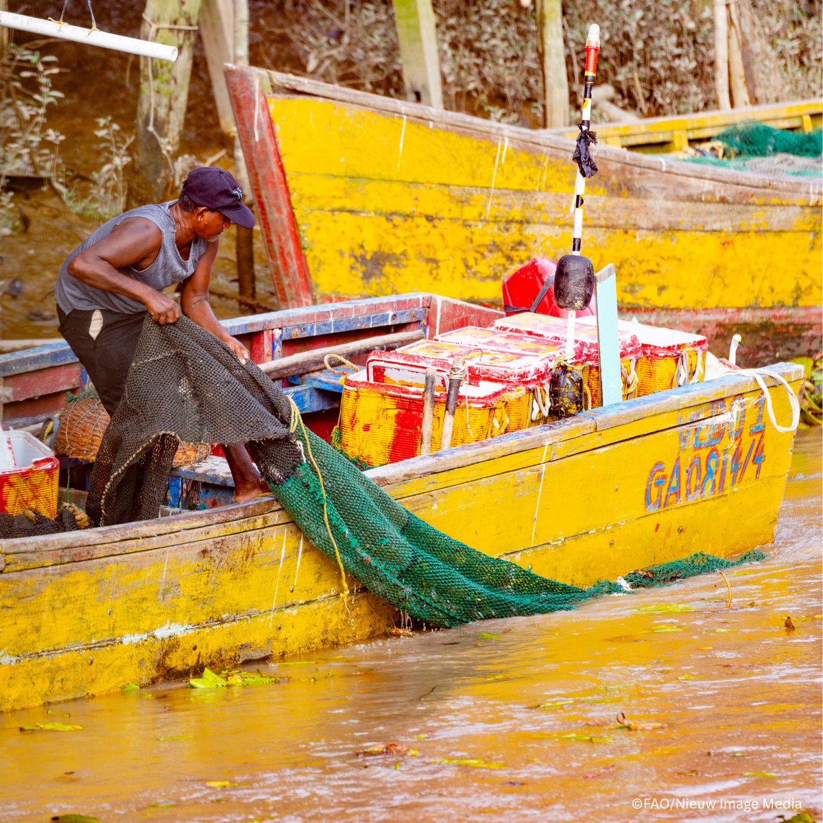 FAOCaribbean's tweet photo. #FISH4ACP works towards a sustainable, resilient &amp; inclusive shrimp fishery in Guyana.🦐

On World Day for Safety &amp; Health at Work, read FISH4ACP's new Safety guide for artisanal seabob fishers:🔗https://t.co/Ntqx3b0zUy

#OSHmonth2026 @EU_Partnerships @BMZ_Bund @PressACP @FAOfish https://t.co/x2Gj1Qk6K1