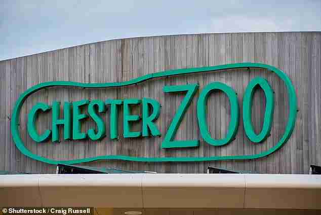 thandojo's tweet image. #Chester #Zoo has been crowned the top for the second year in a row, and it features among #Europe's top 10 zoos too.