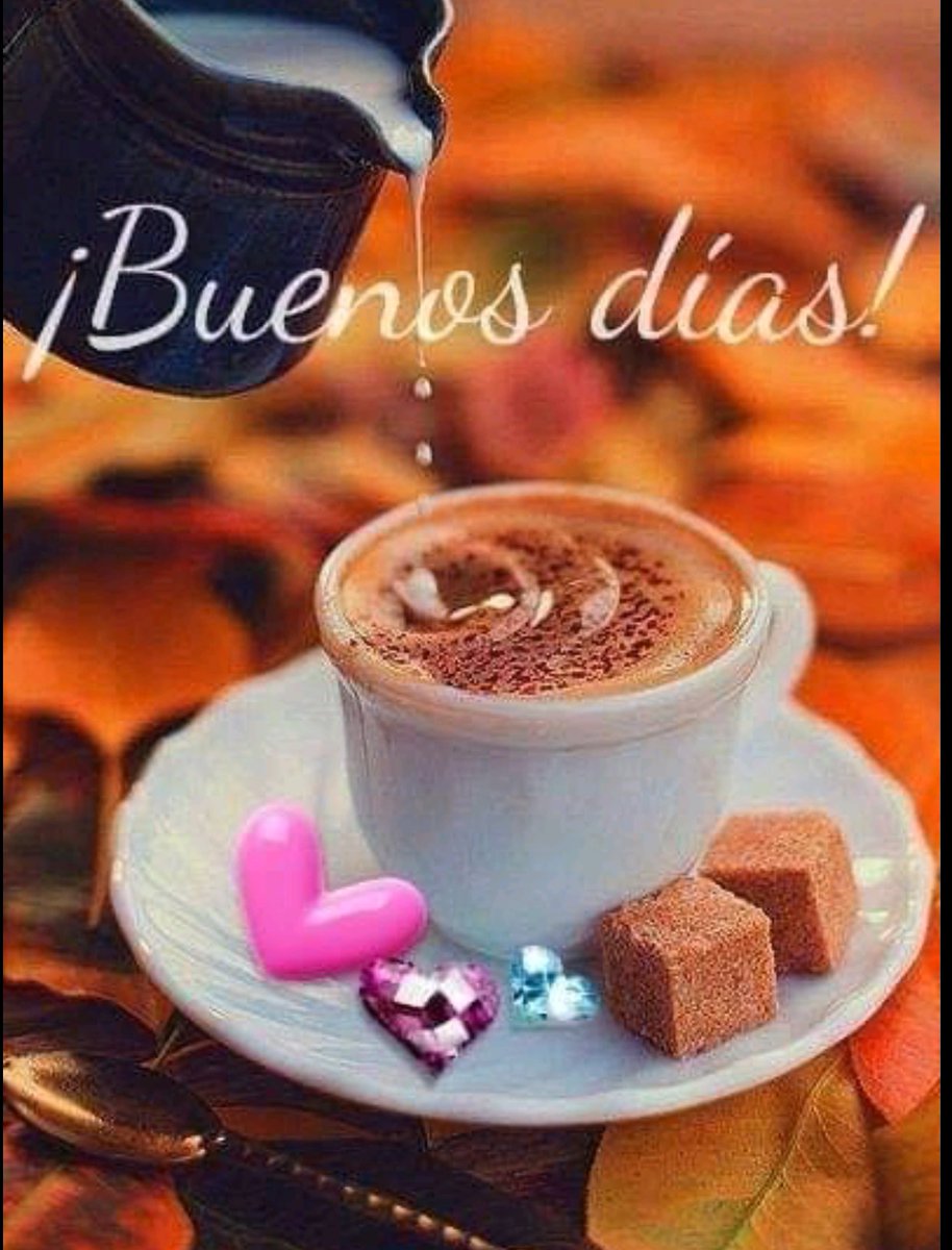 Pancho 🇪🇨 🇺🇸 tweet media
