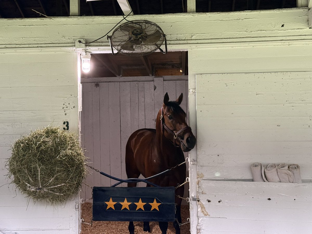 Equibase's tweet photo. G1 Santa Anita Derby winner SO HAPPY looking gorgeous this morning 😍

The Runhappy colt is trainer Mark Glatt’s first career @KentuckyDerby starter and will have Hall of Fame rider @mikeesmith10 back aboard.

So Happy averaged 37.84 MPH throughout his graded stakes starts (fastest in the Derby field) with his peak speed reaching 43.94 MPH (fastest in the Derby field).

📸 Ben Kudla/Equibase