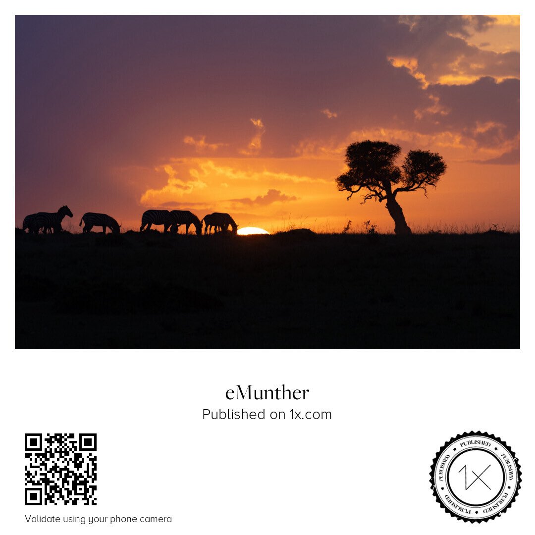 anEMDN_com's tweet image. Morning Silhouette ظلال صباحية

shop.1x.com/featured/morni…

emunther.com/images/0245913…

#Prints #Download #Silhouette #Sunrise #Wildlife
