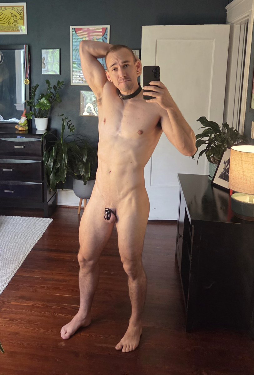 Harry The Caged Boy tweet media