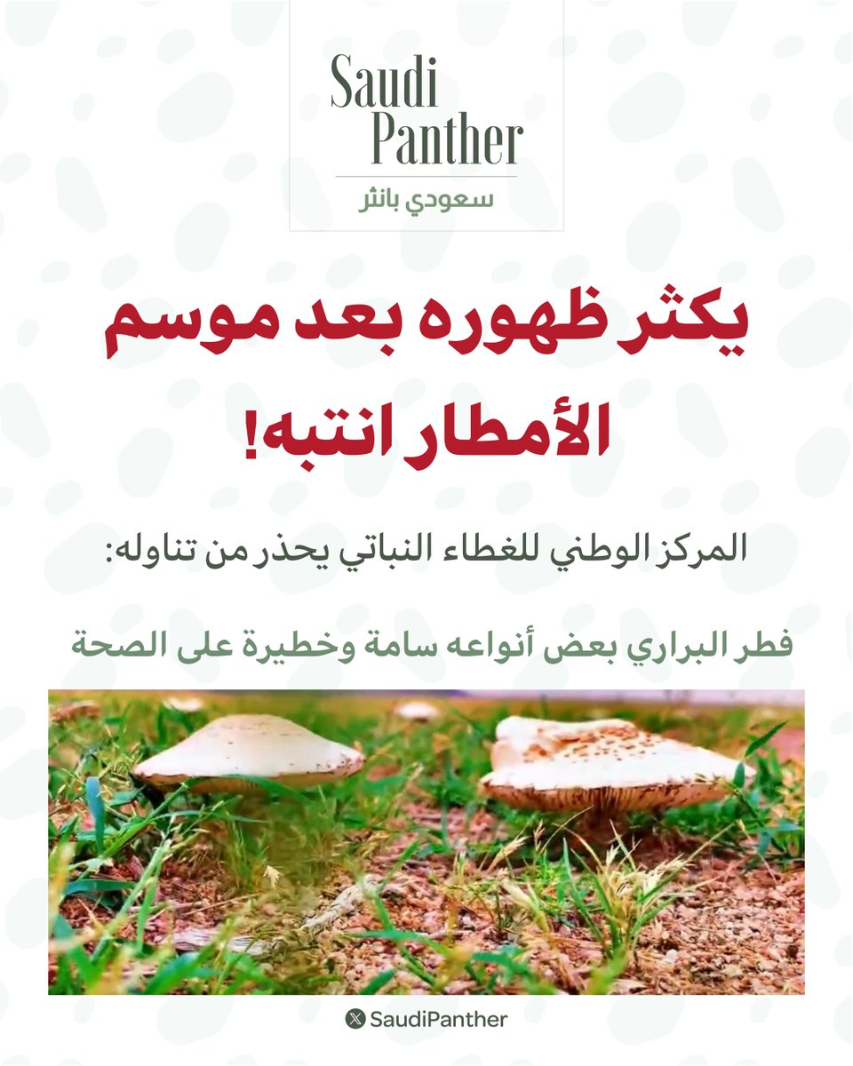 saudi panther | سعودي بانثر tweet media